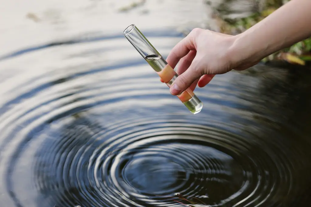 Water sample collected by hand for chemical testing, Oakwater Laboratories Exeter